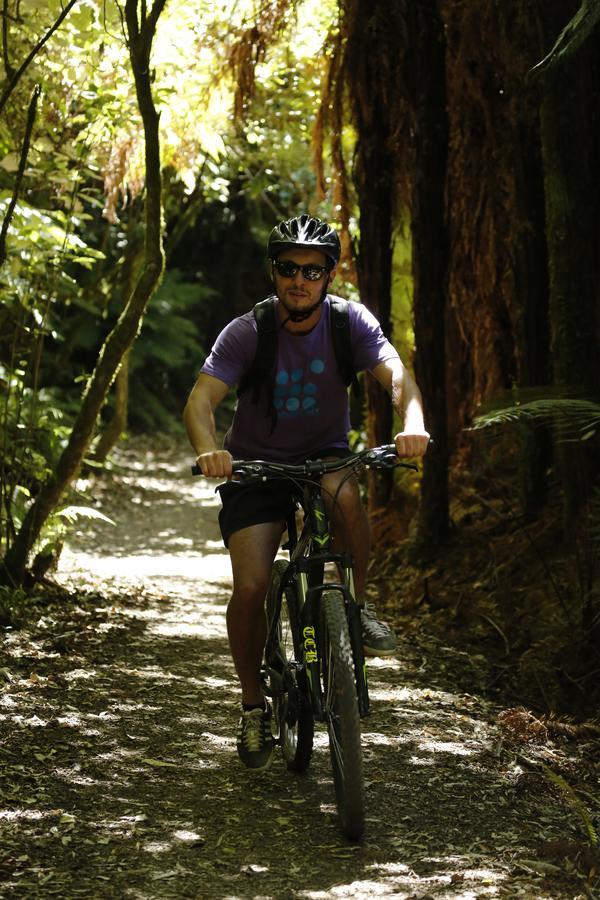Beech Tree Lodge Ohakune Eksteriør billede